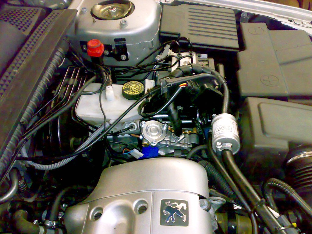 Peugeot 406 2.2 (3).jpg